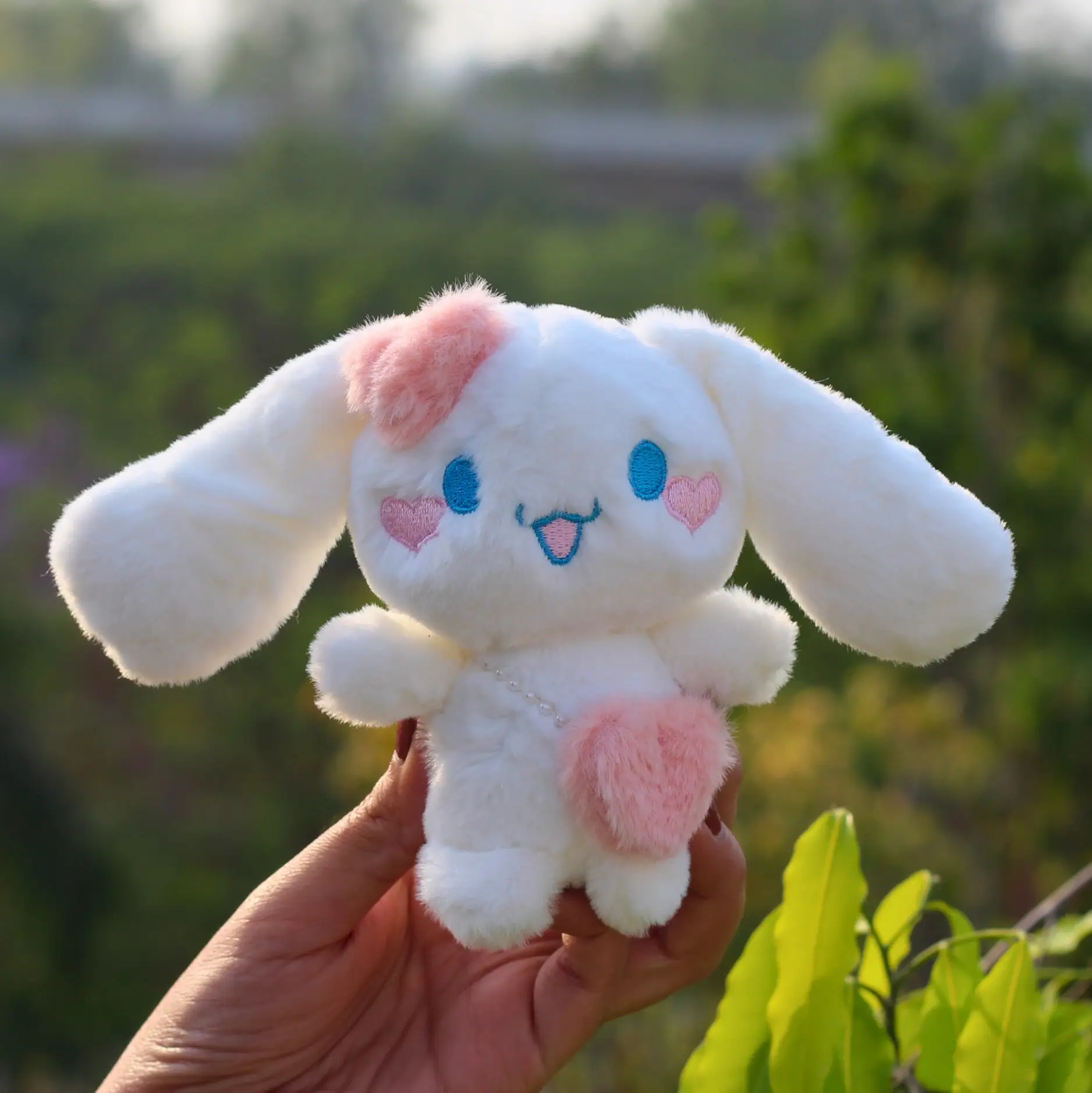 Sanrio Cinnamoroll Plush Front Picture