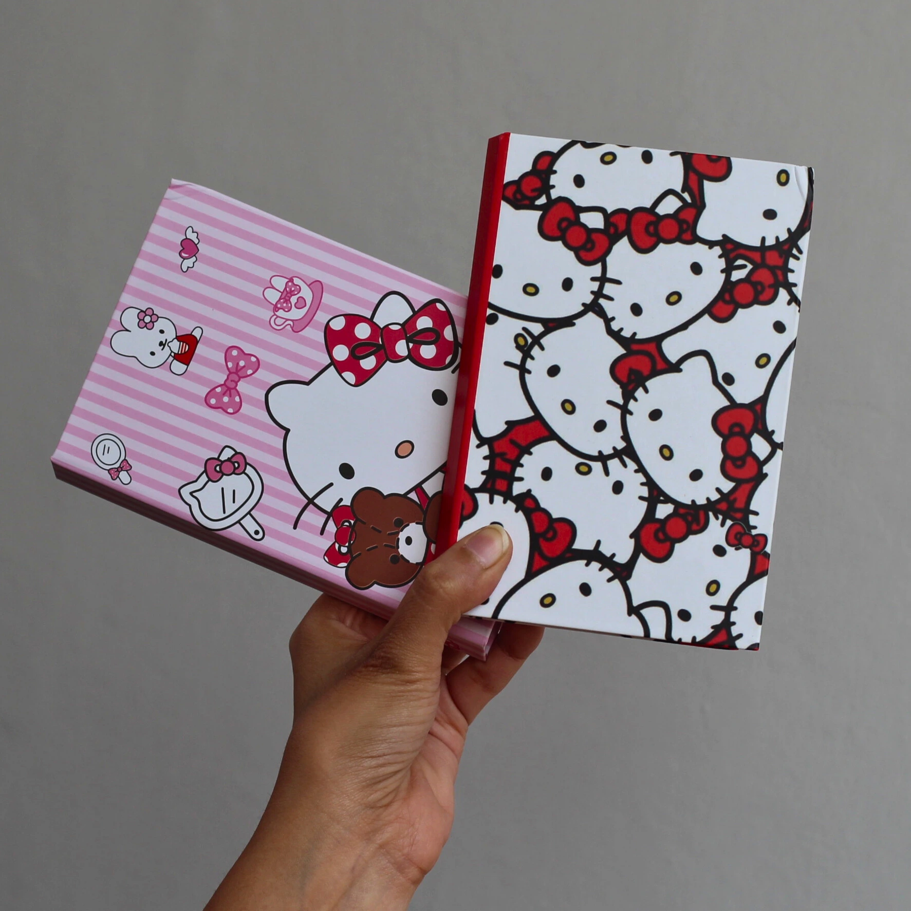 Sanrio Sticky Notes Booklet in Hand Overview Image