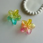 Aesthetic Transparent Gradient Effect Flower Claws -6