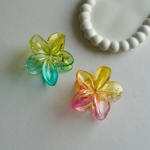 Aesthetic Transparent Gradient Effect Flower Claws -6