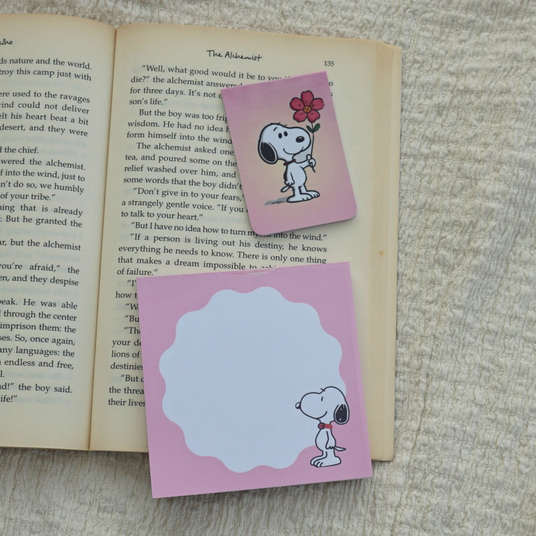 Snoopy Merch Combo -17