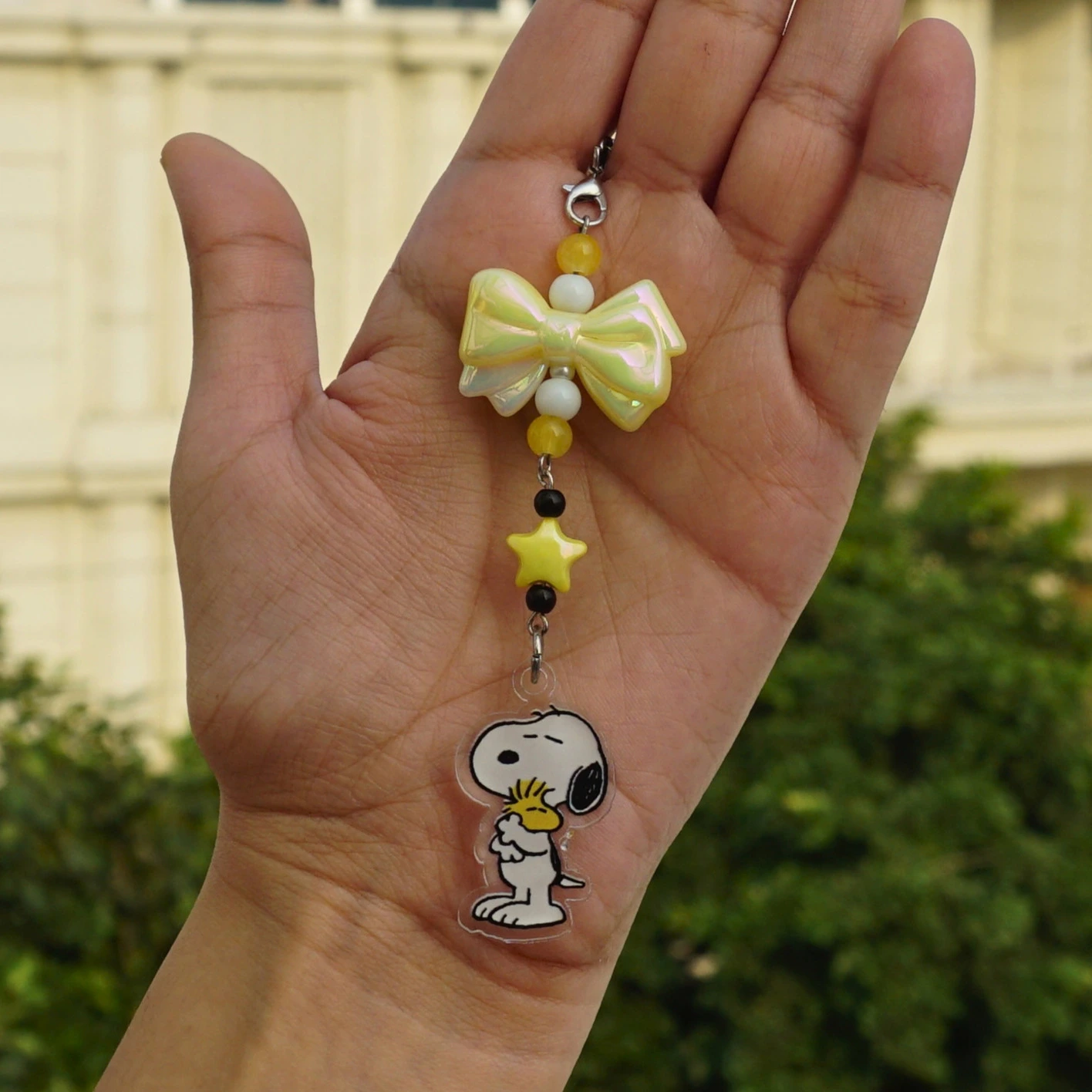 Snoopy Merch Combo -9