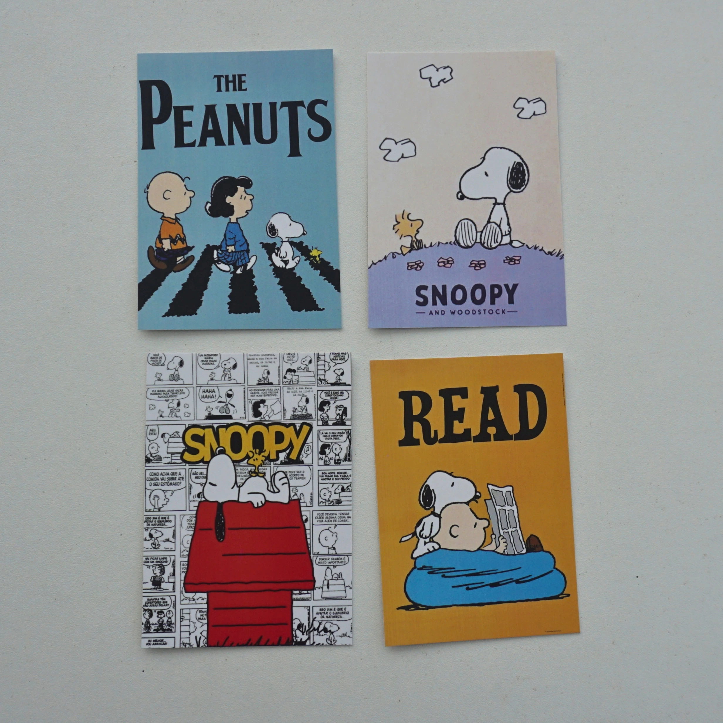 Snoopy Merch Combo -8