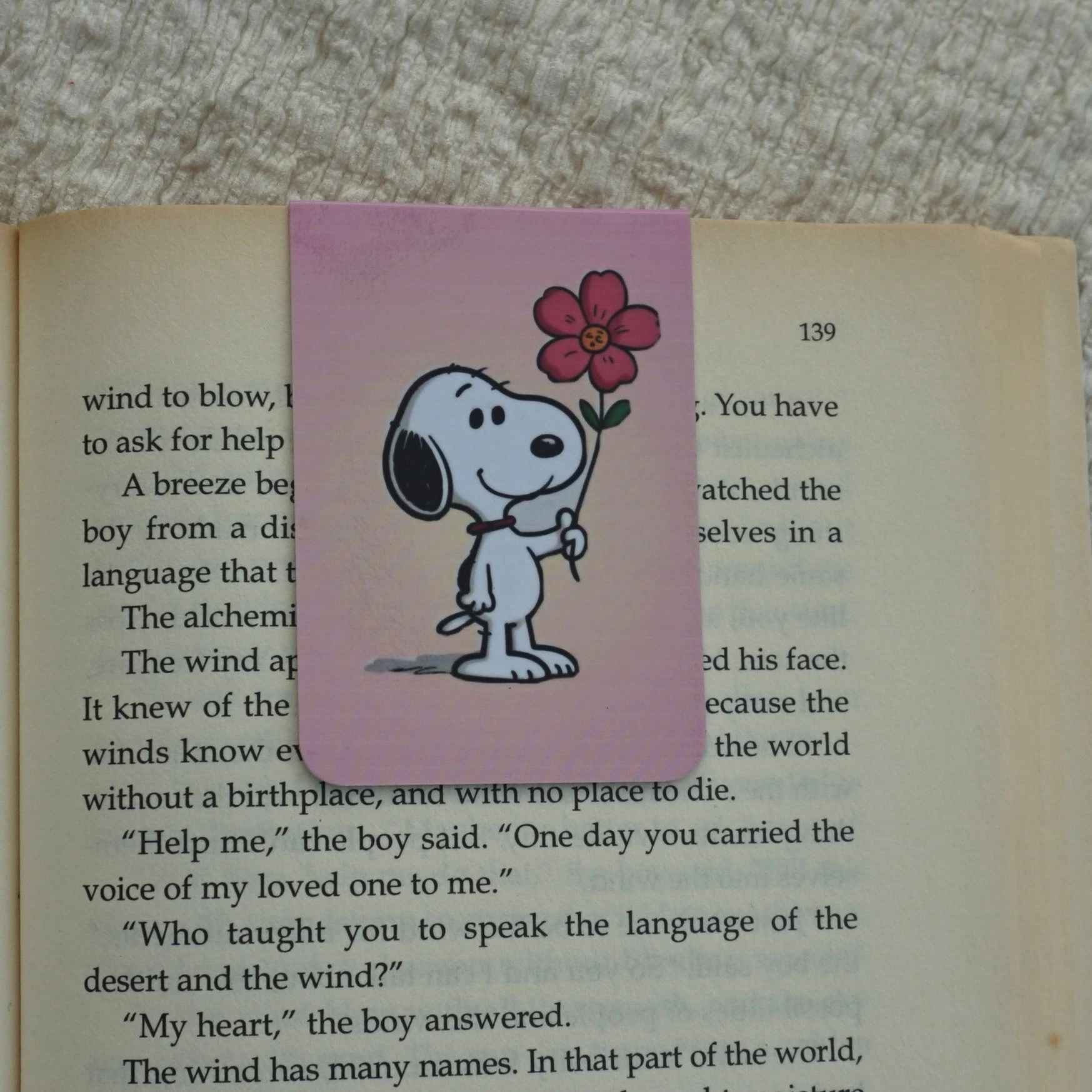 Snoopy Merch Combo -18